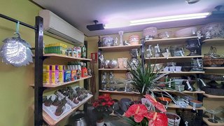 Local comercial en venta en Pº Zorrilla - Cuatro de Marzo en Valladolid