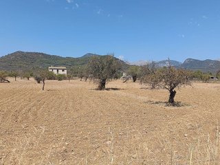 Casa rural en venta en Binissalem