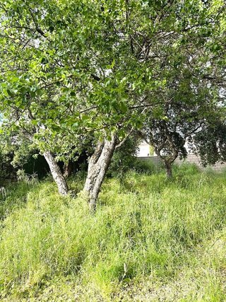 Solar en venta en Ruta de la Plata en Cáceres
