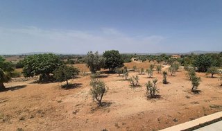 Casa rural en alquiler en Manacor Centro en Manacor