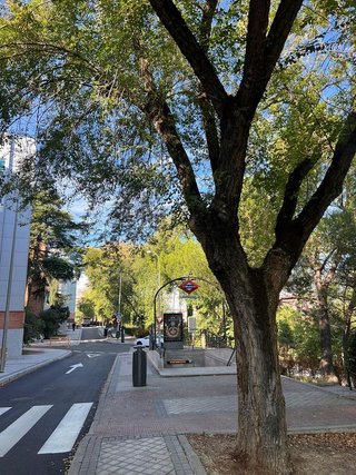 Piso en alquiler en Valdezarza en Madrid