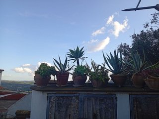 Casa pareada en venta en Jimena de la Frontera