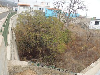 Terreno en venta en Arafo
