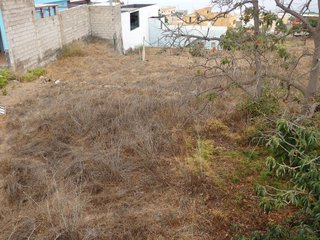 Terreno en venta en Arafo