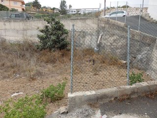Terreno en venta en Arafo