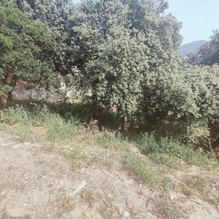 Terreno en venta en Sant Fost de Campsentelles