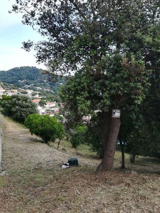 Terreno en venta en Sant Fost de Campsentelles