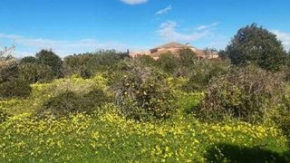 Terreno en venta en Pobla de Farnals (la)