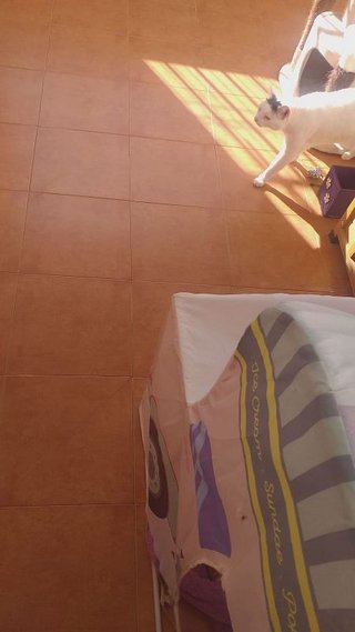 Piso en venta en Plaza de Toros - Santa Rita en Almería