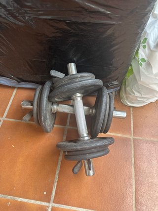 Set di manubri regolabili