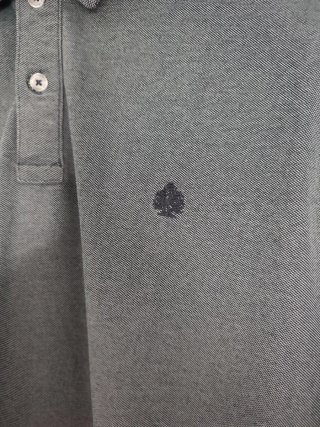 Polo Springfield M