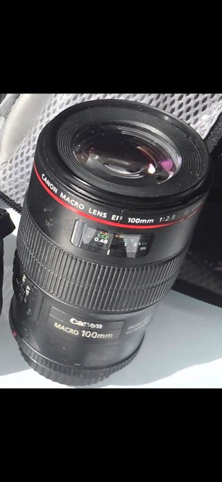 Objetivo Canon EF 100mm f/2.8L Macro IS USM