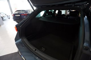 Cupra León SP 1.5 eTSI 110kW (150CV) DSG