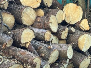 Leña cortada para chimenea/parrilla