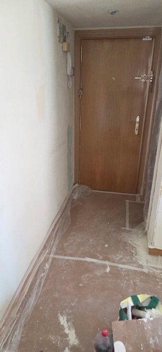 Pintor profecional y economico