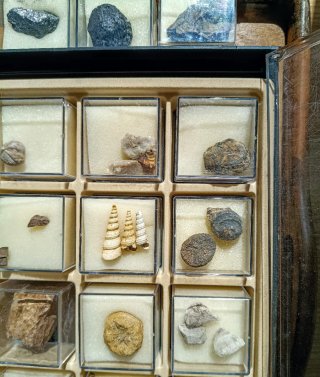 Collezione minerali e fossili