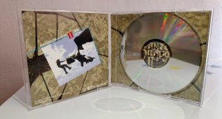 Panzer Dragoon II Zwei - - - Saturn Jap