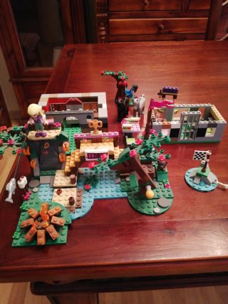 Lego Friends Set