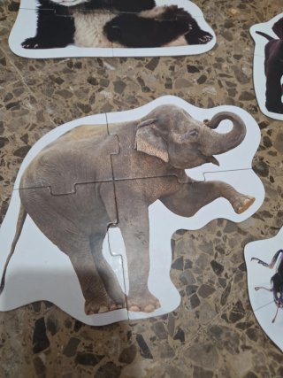 Puzzles Haba Animales Evolutivos