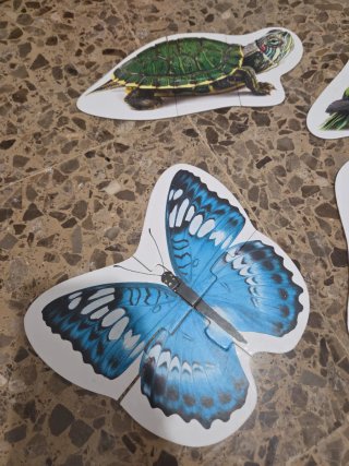 Puzzles Haba Animales Evolutivos