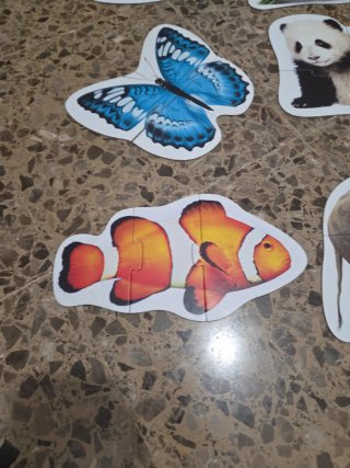 Puzzles Haba Animales Evolutivos