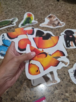 Puzzles Haba Animales Evolutivos