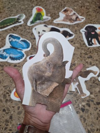Puzzles Haba Animales Evolutivos