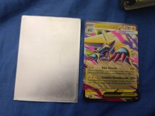 Cartas pokémon con funda