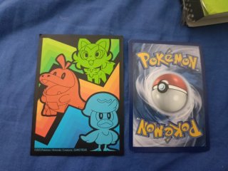 Cartas pokémon con funda