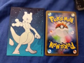 Cartas pokémon con funda