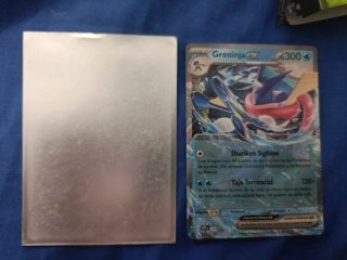 Cartas pokémon con funda