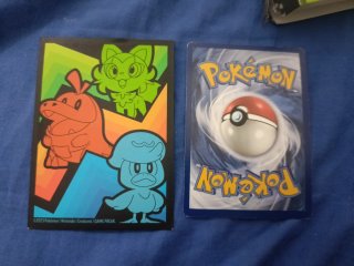 Cartas pokémon con funda