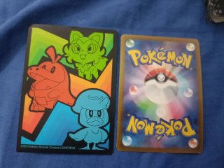 Cartas pokémon con funda