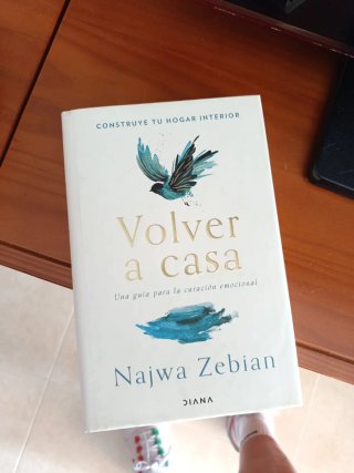 Volver a casa