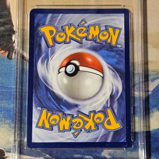 Keldeo 019/086 Pokémon Carta Gradata 10