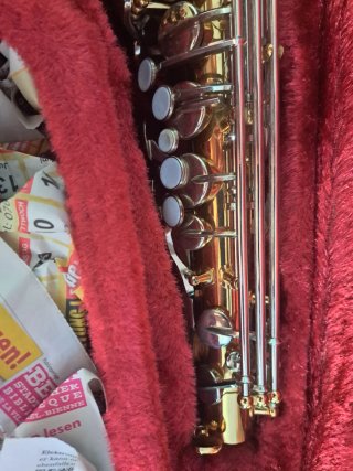 Sax Alto Yamaha YAS 25