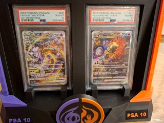 Display PSA 10 Charizard & Mewtwo VSTAR