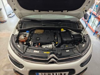 Citroen C4 Cactus 2019