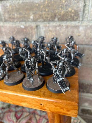 20 Guerreros Necron + Lord Supremo