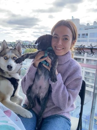 Cuidador mascotas Zaragoza