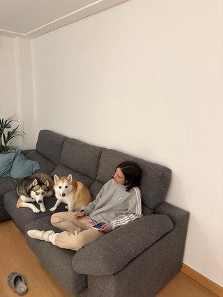 Cuidador mascotas Zaragoza