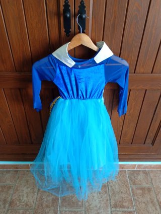 Conjunto de Disfraces Niña 2-3 Años