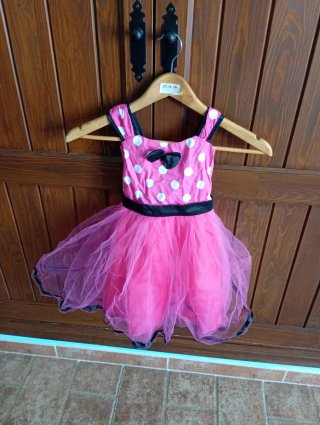 Conjunto de Disfraces Niña 2-3 Años