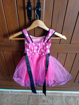 Conjunto de Disfraces Niña 2-3 Años