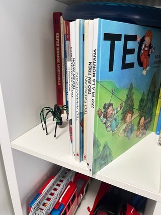 Lote libros Teo