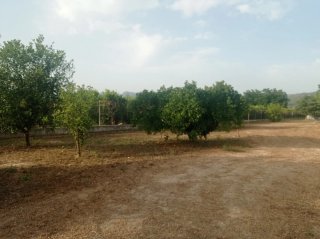 Terreno en venta en Bítem (Tortosa) Negociable