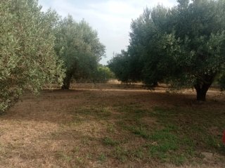 Terreno en venta en Bítem (Tortosa) Negociable
