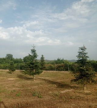 Terreno en venta en Bítem (Tortosa) Negociable