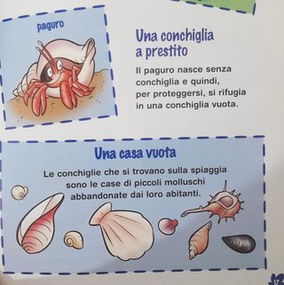 Winnie The Pooh Disney De Agostini - 13 Libri