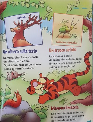 Winnie The Pooh Disney De Agostini - 13 Libri